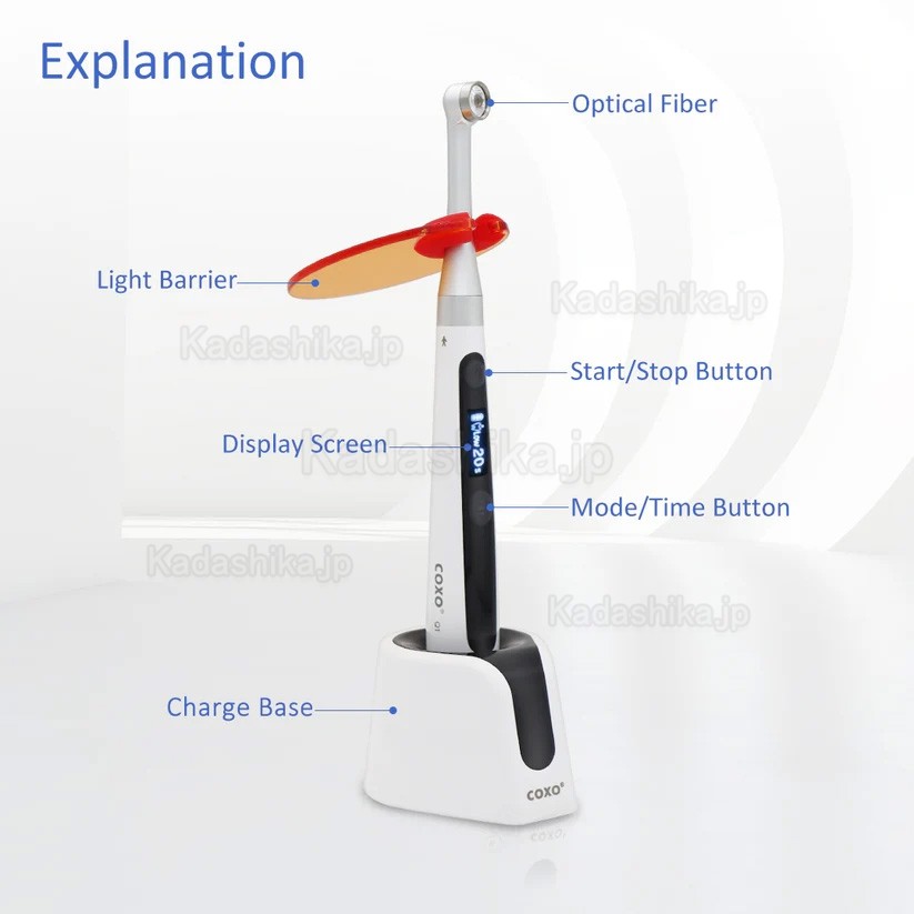 COXO DB686 Q1 歯科樹脂光照射器 - 2500mW/cm&sup2; 虫歯モード付き